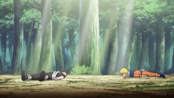 Naruto Shippuuden 388.jpg